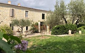 Le Coing Des Vignes