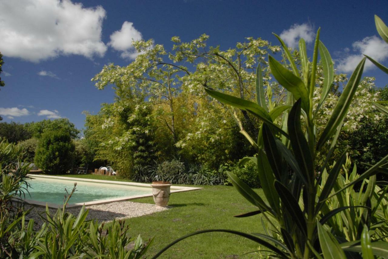 Le Coing Des Vignes Bed and Breakfast Mauressargues Buitenkant foto