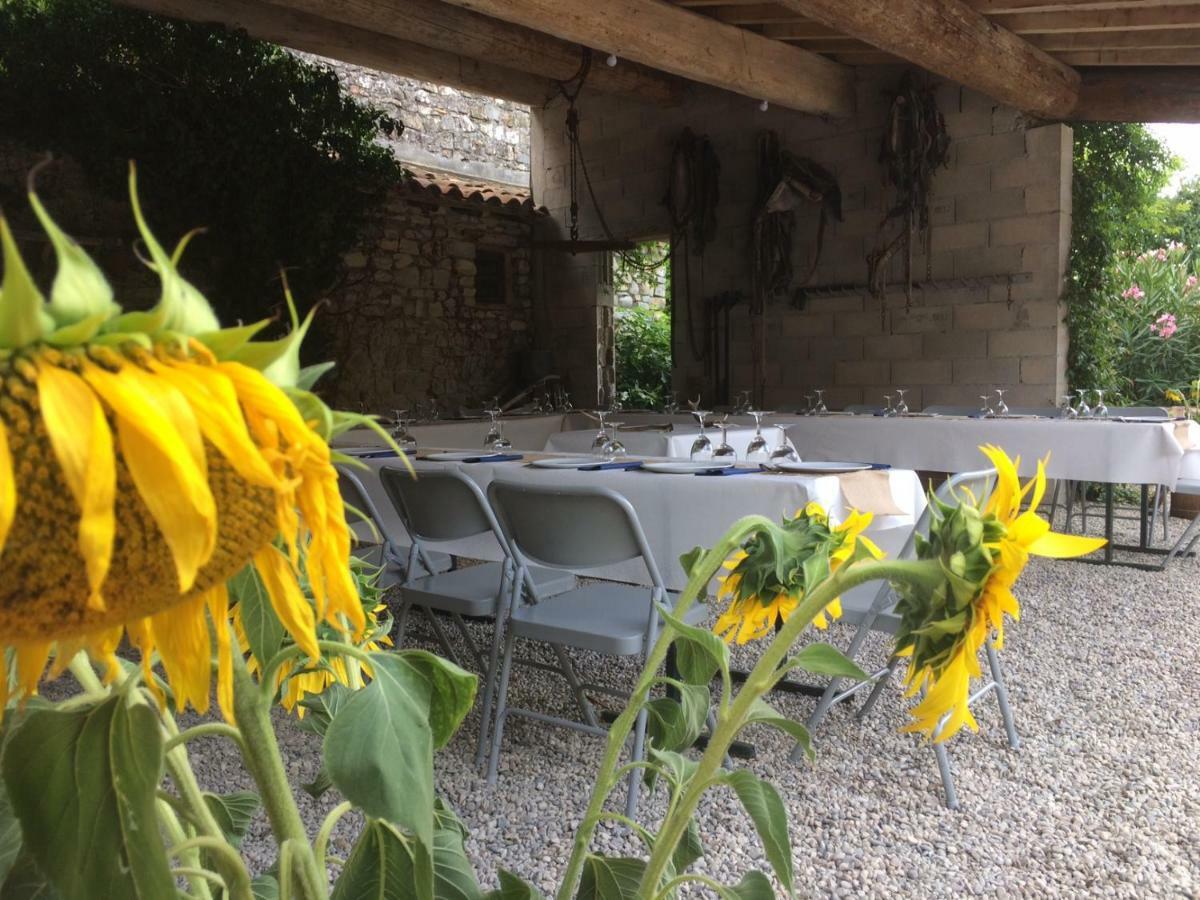 Le Coing Des Vignes Bed and Breakfast Mauressargues Buitenkant foto